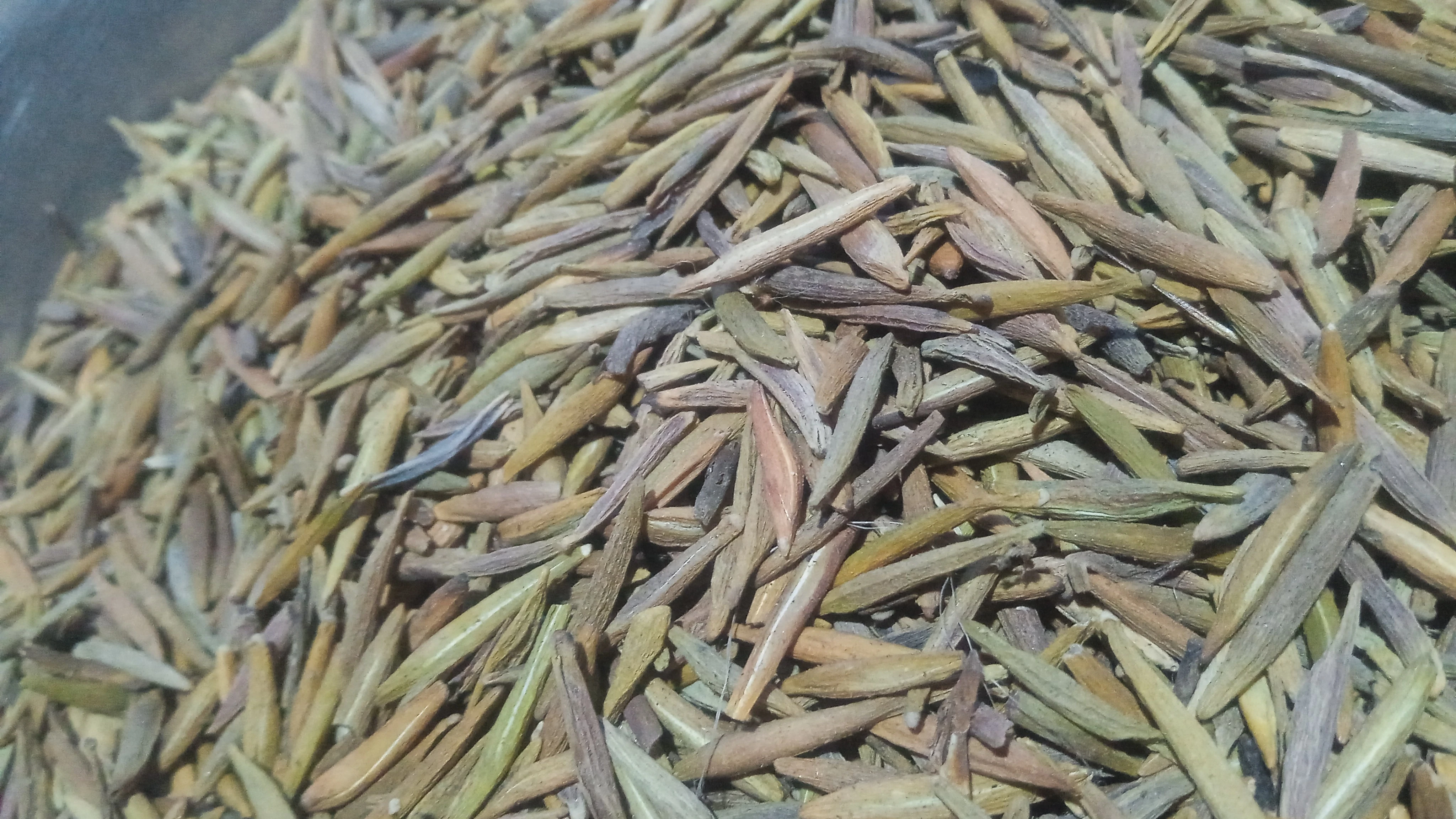 Inderjo Meetha 500gm