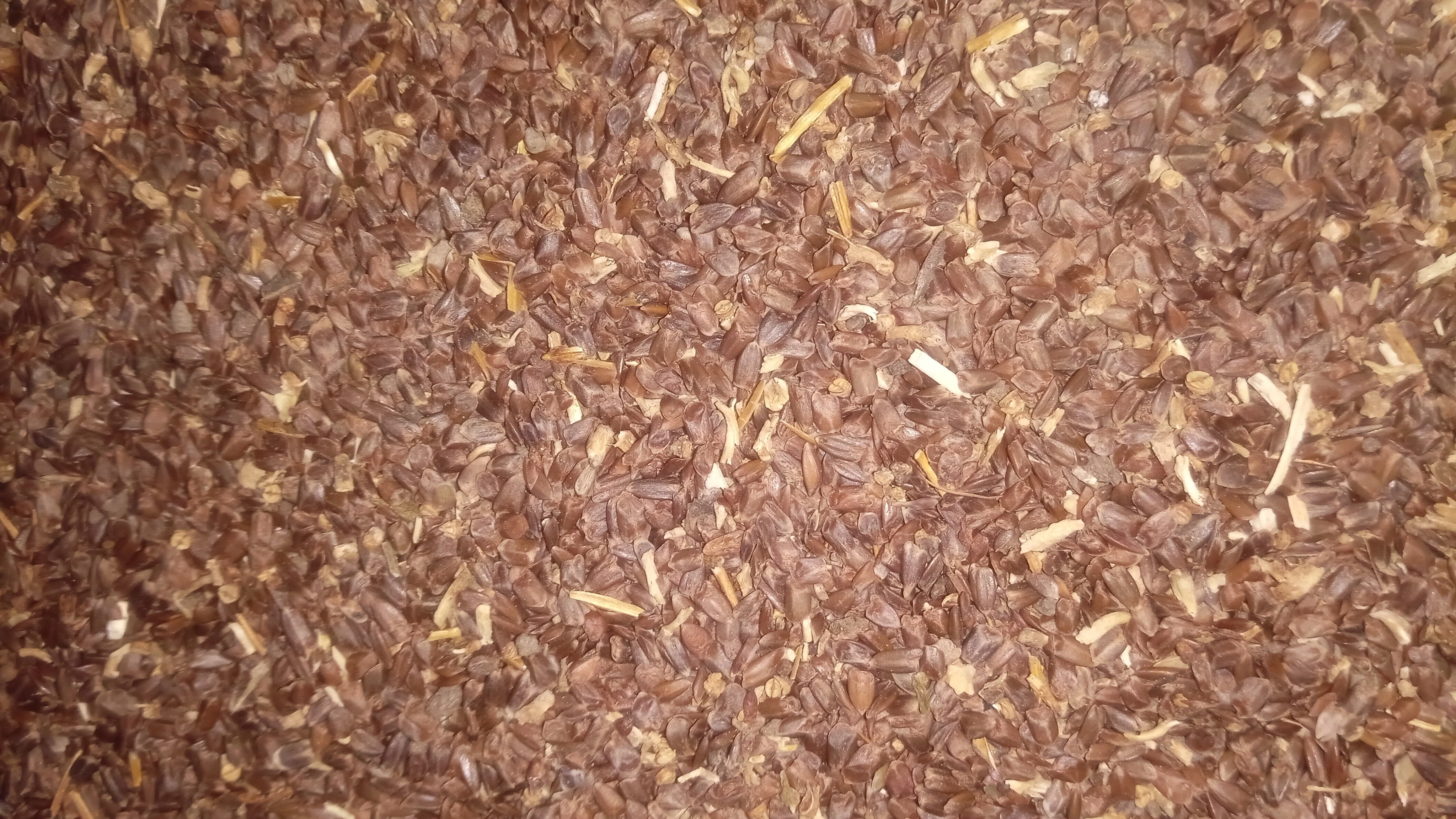 Talmakhana 500gm